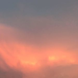 Meet your Posher, Vivian